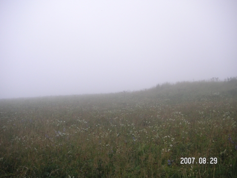 s_PICT0520.jpg